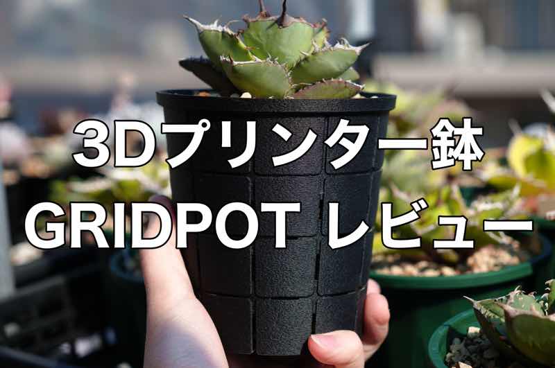3Dプリンター鉢 GRIDPOT™️ レビュー【105点のスリット鉢】 | KAI plants